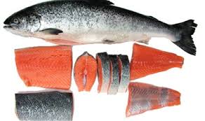 ikan salmon